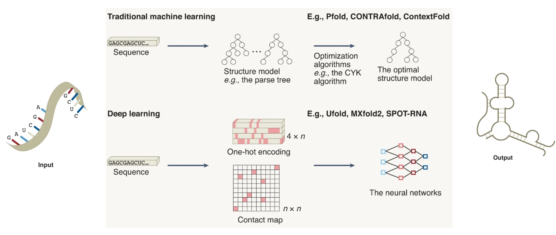 Advances and opportunities in RNA structure experimental determination and computational modeling