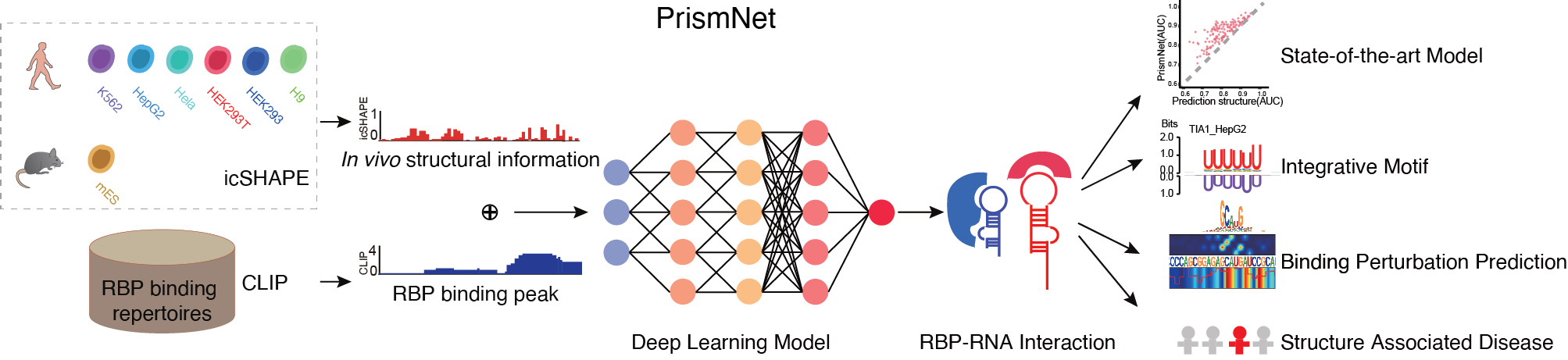 PrismNet